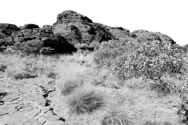 Os reis desfiladeiro natureza selvagem e outback — Fotografia de Stock