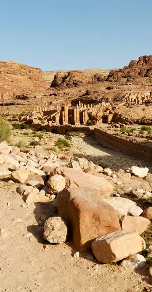 Petra Jordan Antigua Calle Llena Columnas Patrimonio Arquitectónico — Foto de Stock