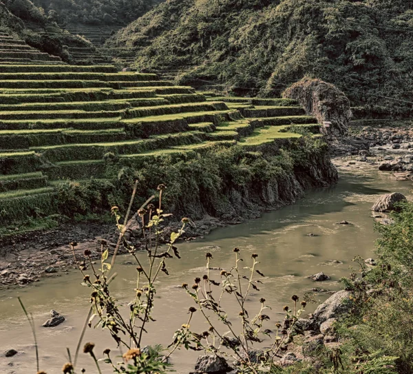 Borrão Campo Terraço Filipinas Para Coultivation Arroz Site Unesco Banaue — Fotografia de Stock