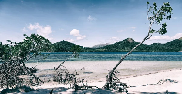 Auf Der Philippinischen Insel Schöne Cosatline Baumhügel Und Boot Für — Stockfoto