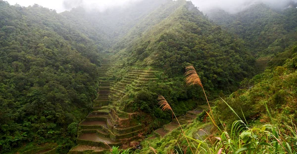 Borrão Campo Terraço Filipinas Para Coultivation Arroz Site Unesco Banaue — Fotografia de Stock