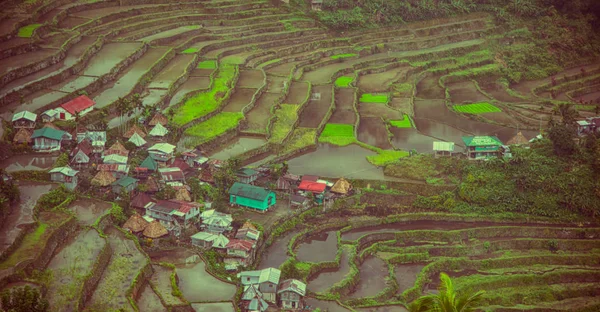 Elmosódott Fülöp Szigeteki Teraszmezőn Banaue Unesco Területéről Származó Rizs Coultivációjához — Stock Fotó