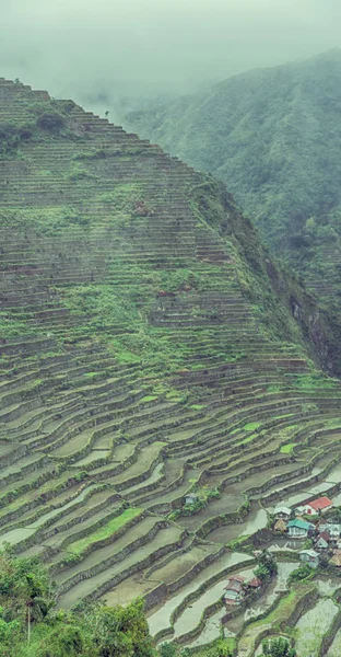 Θόλωμα Στο Πεδίο Βεράντα Philippines Για Coultivation Του Ρυζιού Από — Φωτογραφία Αρχείου