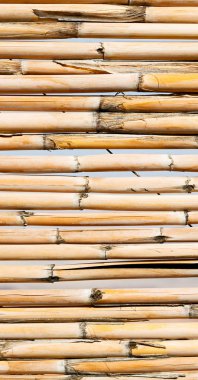 gökyüzünde bir bambu duvar soyut doku arka plan