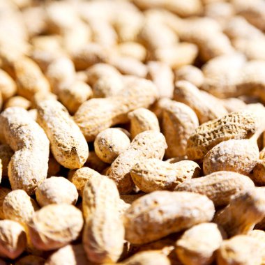 Fıstık gibi sağlıklı gıda ve aperatif kavramı Pazar çok