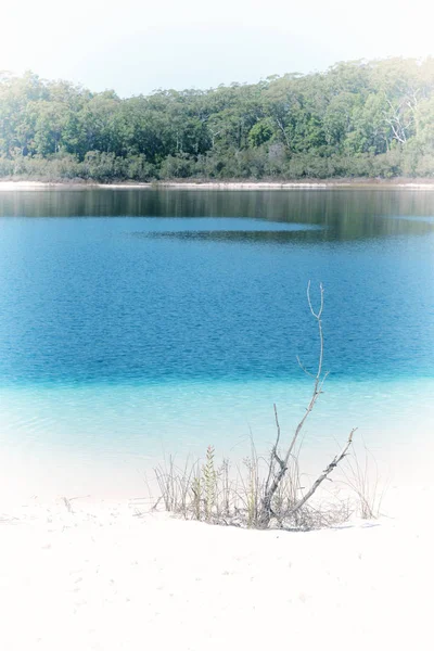 Australia Lake Mckenzie Tourism Tree Relax Paradise — Stock Photo, Image