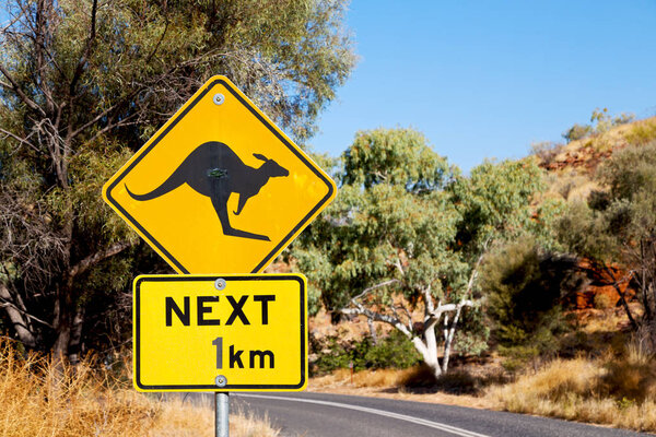in australia  the sign for wild kangaroo 