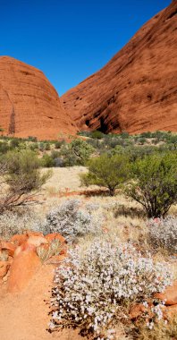 Avustralya outback Kanyon ve doğada mountain yakınındaki