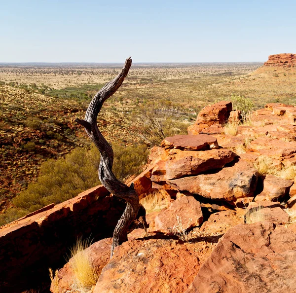 Austrália Reis Canyon Natureza Selvagem Outback — Fotografia de Stock