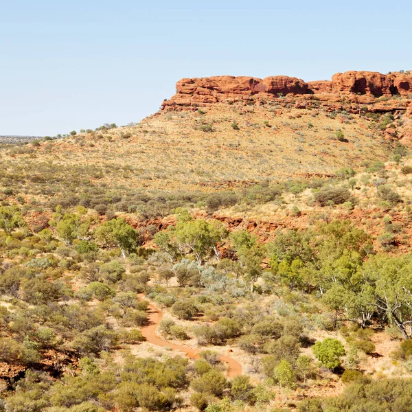 Austrália Reis Canyon Natureza Selvagem Outback — Fotografia de Stock