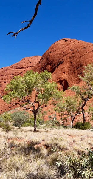 Australien Outback Canyon Und Der Nähe Von Bergen Der Natur — Stockfoto