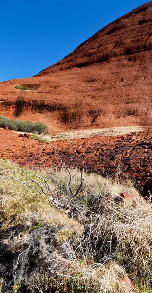 Australii Outback Kanion Zmarłe Drzewo Pobliżu Góry Naturze — Zdjęcie stockowe