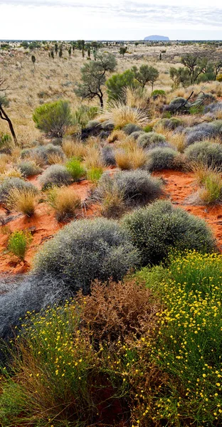 Australia Concept Wilderness Environment Landscape Outback Stock Photo