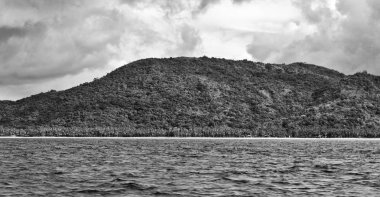 Filipinler 'deki bir tekneden El Nido Palawan yakınlarındaki yılan adasından güzel bir panorama kıyısı denizi ve kaya 