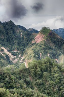   coultivation pirinç Teras alanı   