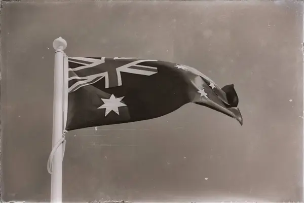 In de heldere hemel de wapperende vlag — Stockfoto