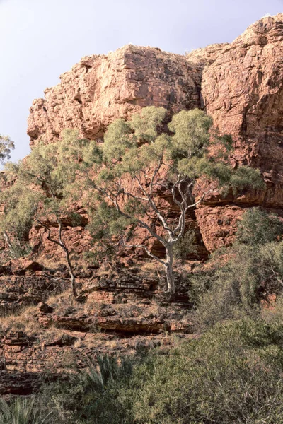 I re canyon natura selvaggia e nell'entroterra — Foto Stock