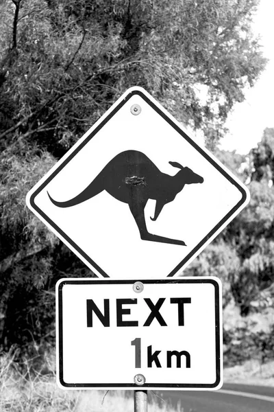 In australia  the sign for wild kangaroo — Stock Photo, Image