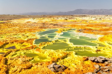 Danakil Etiyopya Afrika'da dallol volkanik depresyon