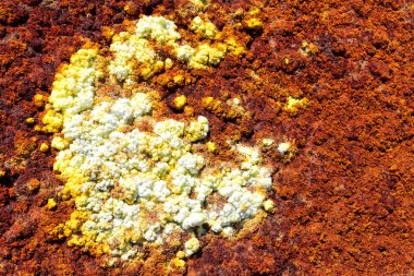 Danakil Etiyopya Afrika'da dallol volkanik depresyon