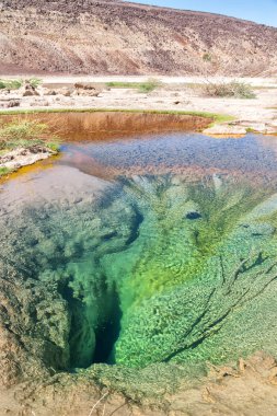 Danakil Etiyopya Afrika'da dallol ve Kutup gazoz volkanik depresyon