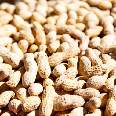 Fıstık gibi sağlıklı gıda ve aperatif kavramı Pazar çok