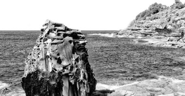 plaj ve okyanus yakın resort içinde Avustralya