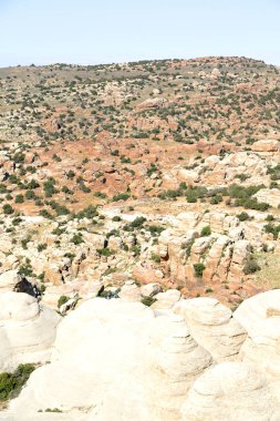 doğal vahşi yaşam Vadisi doğal rezerv