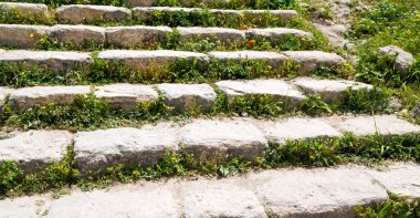 çiçek ve çim ile antika terk edilmiş stairwais