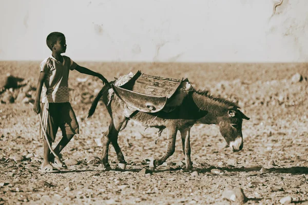 Etiyopya Danakil Ocak 2018 Tanımlanamayan Çocuk Onun Donke Ile Yürüyüş — Stok fotoğraf