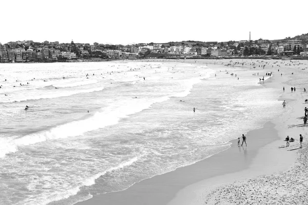 Austrália Turista Praia Surfe — Fotografia de Stock