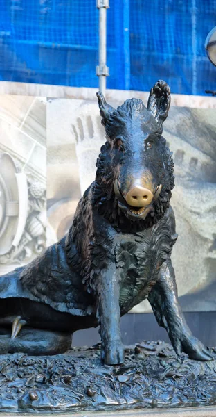 Sydney the antique statue of a boar — Stock Photo, Image