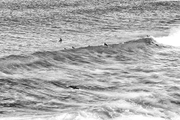 Insanlar okyanus sörf ve spor — Stok fotoğraf
