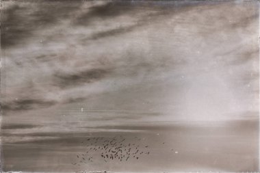 açık gökyüzü günbatımı kuşlar sürüsü yakınındaki