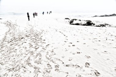  sis ve insanlar kışın plaj