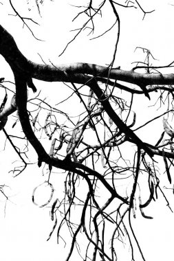 bir şube konsepti gibi boş gökyüzünde soyut doku