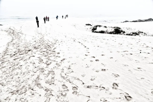 In the winter beach the fog and the people — Stock Photo, Image