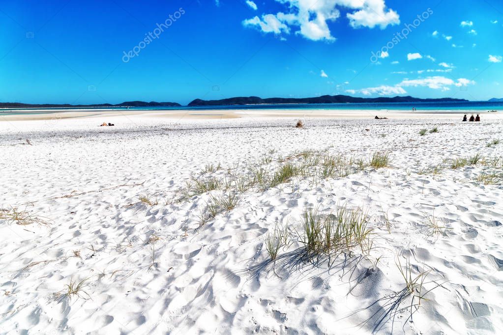 in australia the beach  like paradise 