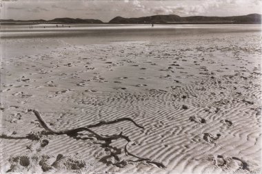 Avustralya whitsunday içinde ada ağaç ve paradise Körfezi'beach