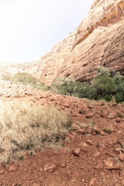 Avustralya outback Kanyon ve ağacın yanında dağ doğa