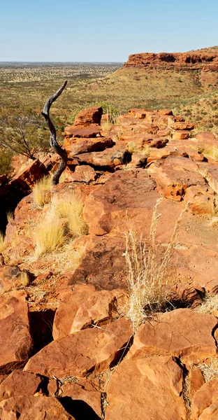 Austrália Reis Canyon Natureza Selvagem Outback — Fotografia de Stock