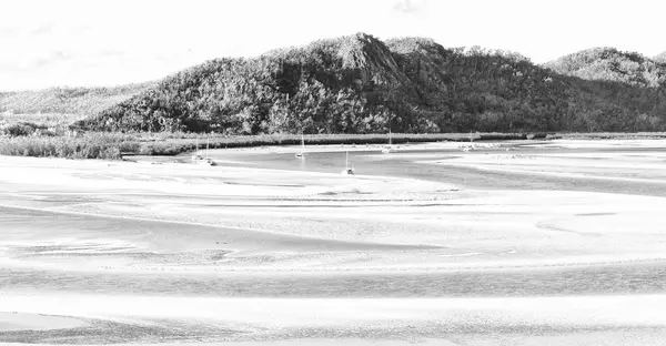 Malerischer Blick Auf Den Strand Der Whitsunday Island Australien — Stockfoto