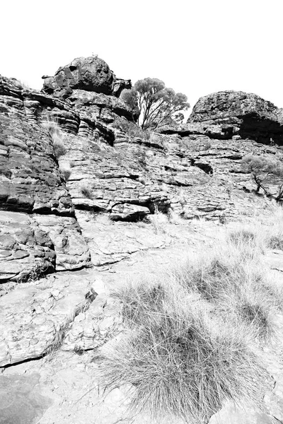 在澳大利亚的国王峡谷自然野生和内陆 — 图库照片