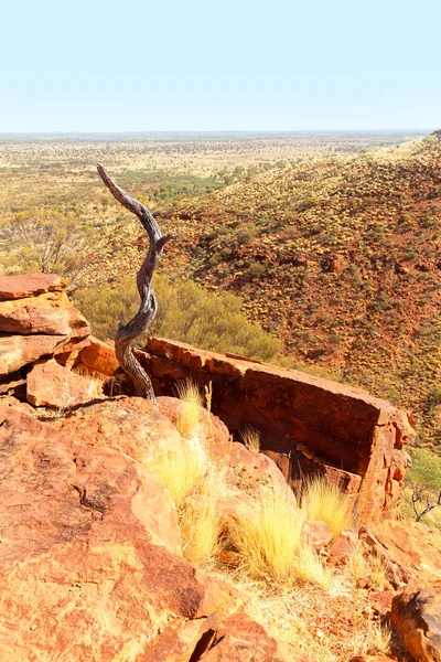 Australia Los Reyes Cañón Naturaleza Salvaje Interior — Foto de Stock