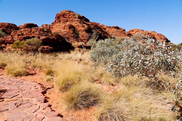 Australien Kings Canyon Nature Wild Und Outback — Stockfoto