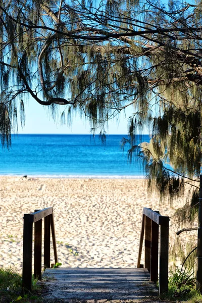 Australia Brisbane Playa Turismo Cerca Del Océano — Foto de Stock