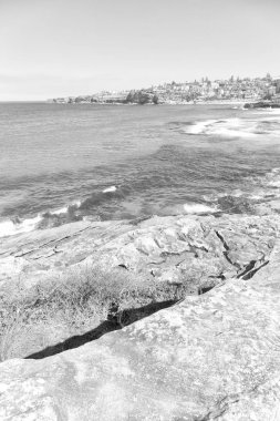 Avustralya'da sydney defne kaya ve bondi beach yakınındaki ocean