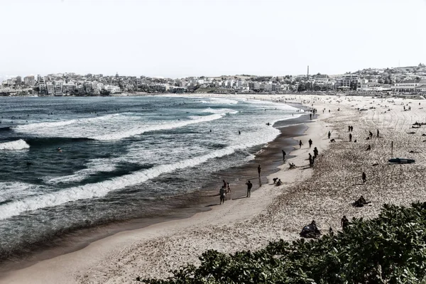 Australia Gente Bondie Playa Complejo Cerca Del Océano — Foto de Stock