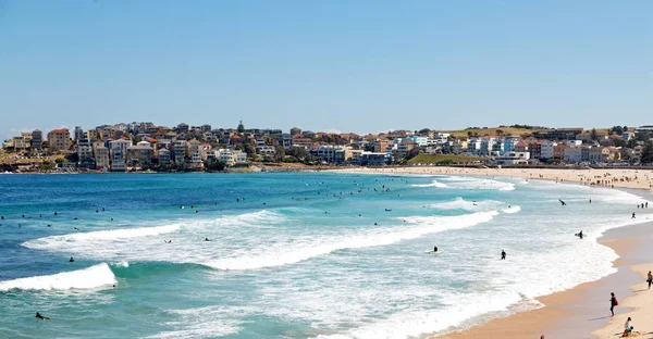 Australia Spiaggia Turistica Surfe — Foto Stock