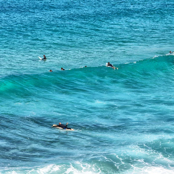 Australia Sydney Persone Mare Surf Sport — Foto Stock